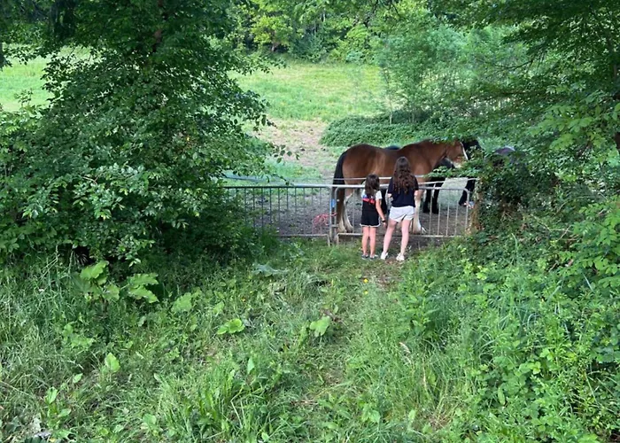 Le Refuge A La Campagne